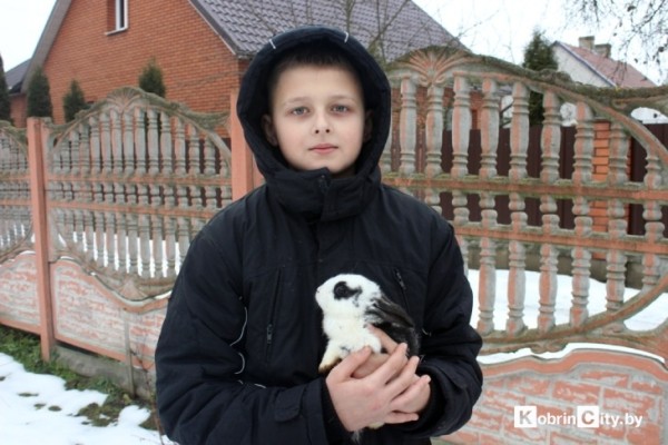 Ещё год назад у кобринчанки Натальи из питомцев были только кот и собака, а сейчас у неё уже более 50-ти кроликов Ещё год назад у кобринчанки Натальи из питомцев были только кот и собака, а сейчас у неё уже более 50-ти кроликов