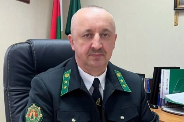 В лесу родили ёлочку. Метровая лесная красавица с момента посадки семян растет минимум 8 лет