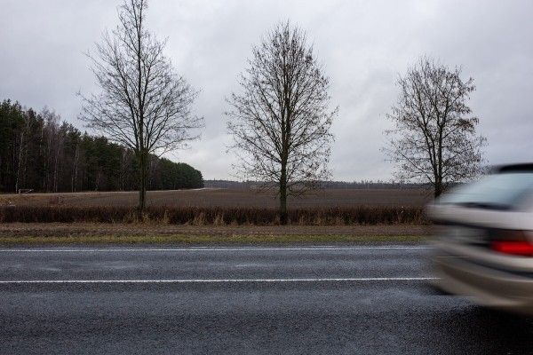 От испуга до «уголовки». Разбираемся, накажут ли водителя, если он сбил животное в зоне действия особого знака От испуга до «уголовки». Разбираемся, накажут ли водителя, если он сбил животное в зоне действия особого знака