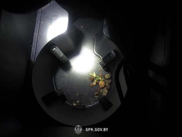 Два случая на границе: в авто на лафете снова нашли запрещенные к провозу вещества Два случая на границе: в авто на лафете снова нашли запрещенные к провозу вещества