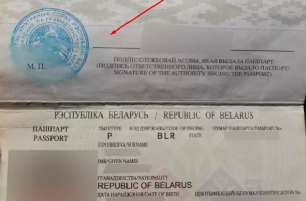 ГПК рассказал, какие чаще всего бывают проблемы с документами на границе