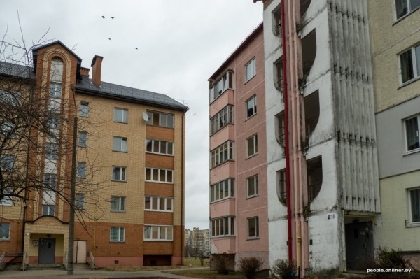 «Я говорил жене: ну невозможно же так жить!» Белоруска приютила дома больше 20 котов, а теперь тяжело больна