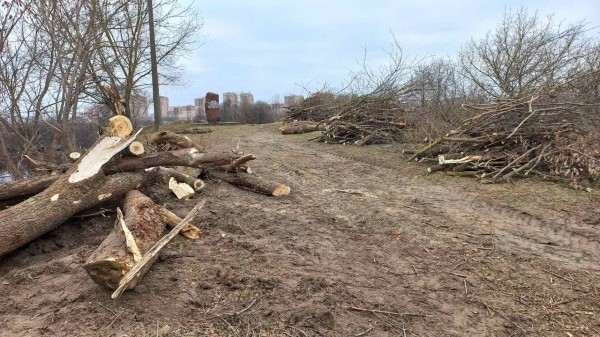 Градоначальник Бреста рассказал, что за работы ведутся в районе Суворовского моста Градоначальник Бреста рассказал, что за работы ведутся в районе Суворовского моста