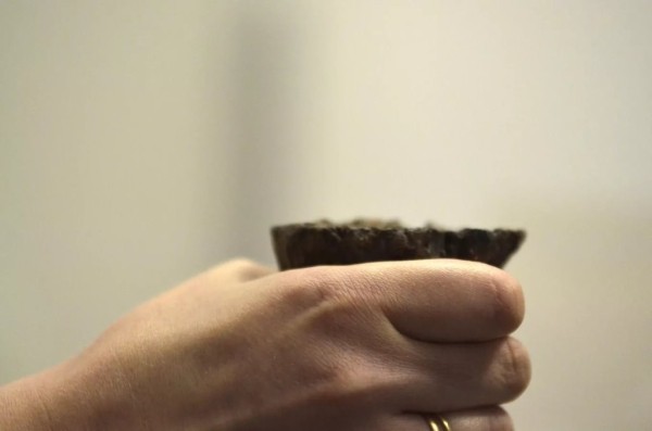 Мужчина нашел зуб мамонта: можно ли продать артефакт в Беларуси? Мужчина нашел зуб мамонта: можно ли продать артефакт в Беларуси?