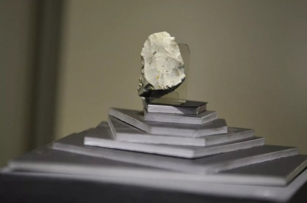 Мужчина нашел зуб мамонта: можно ли продать артефакт в Беларуси? Мужчина нашел зуб мамонта: можно ли продать артефакт в Беларуси?