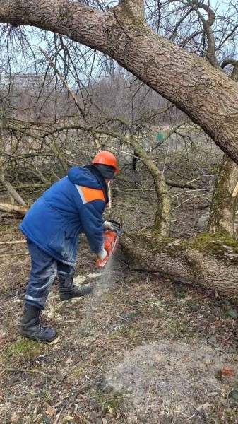 Градоначальник Бреста рассказал, что за работы ведутся в районе Суворовского моста Градоначальник Бреста рассказал, что за работы ведутся в районе Суворовского моста