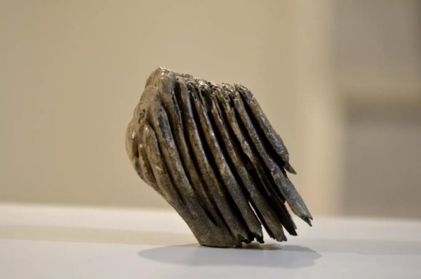 Мужчина нашел зуб мамонта: можно ли продать артефакт в Беларуси? Мужчина нашел зуб мамонта: можно ли продать артефакт в Беларуси?