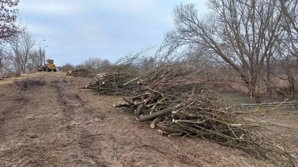 Градоначальник Бреста рассказал, что за работы ведутся в районе Суворовского моста Градоначальник Бреста рассказал, что за работы ведутся в районе Суворовского моста
