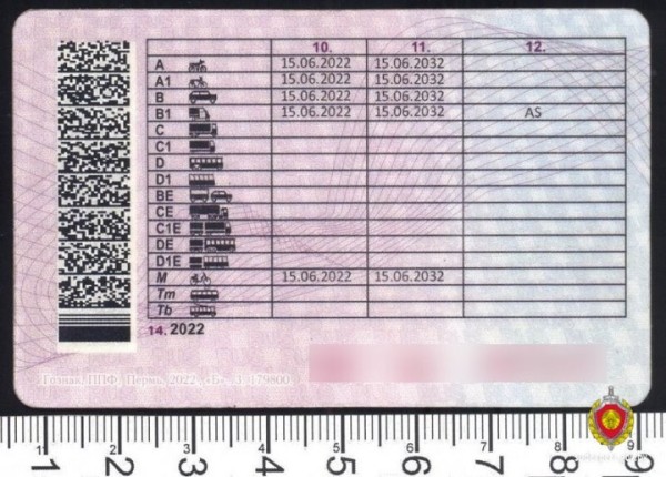 Белорус купил права в Москве, познакомившись с продавцом в переходе. Вот чем это обернулось Белорус купил права в Москве, познакомившись с продавцом в переходе. Вот чем это обернулось