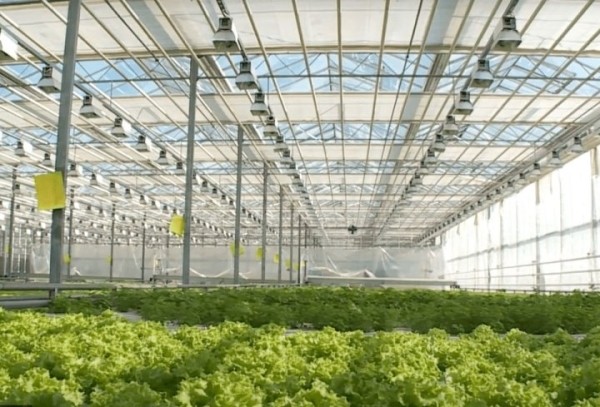 Инновационные светильники резидента СЭЗ «Брест» испытывают в одном из вузов