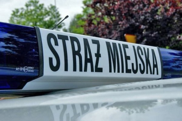 В Польше пьяный водитель-белорус при обгоне столкнул Renault в кювет