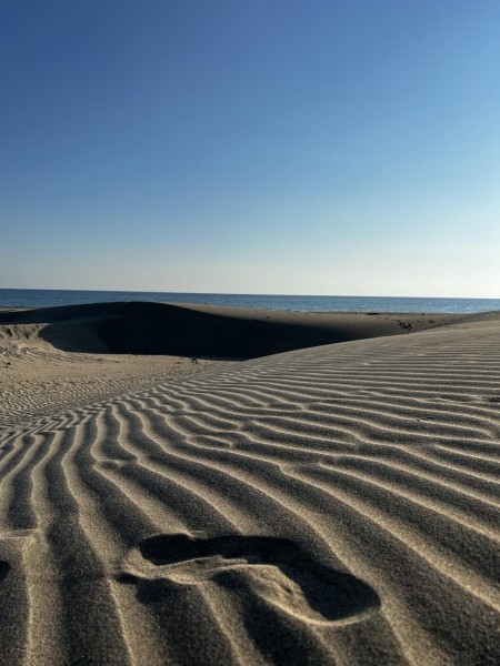 В Турцию через Европу на автомобиле. Белорусы о затратах на топливо и нюансах поездки В Турцию через Европу на автомобиле. Белорусы о затратах на топливо и нюансах поездки