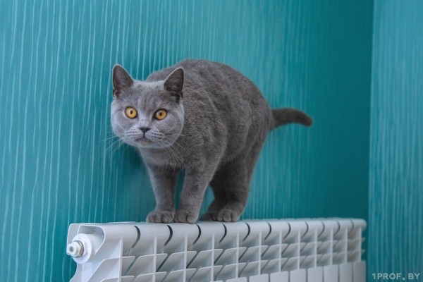 Когда в Беларуси в 2023 году отключат отопление? Узнали, что говорит закон Когда в Беларуси в 2023 году отключат отопление? Узнали, что говорит закон