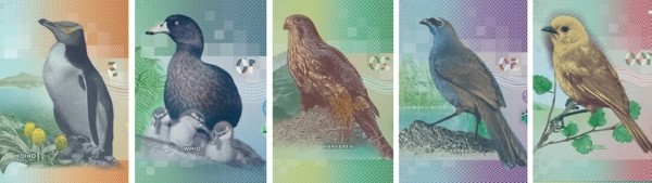 Как выглядят доллары разных стран мира – собрали самые красивые и необычные банкноты Как выглядят доллары разных стран мира – собрали самые красивые и необычные банкноты