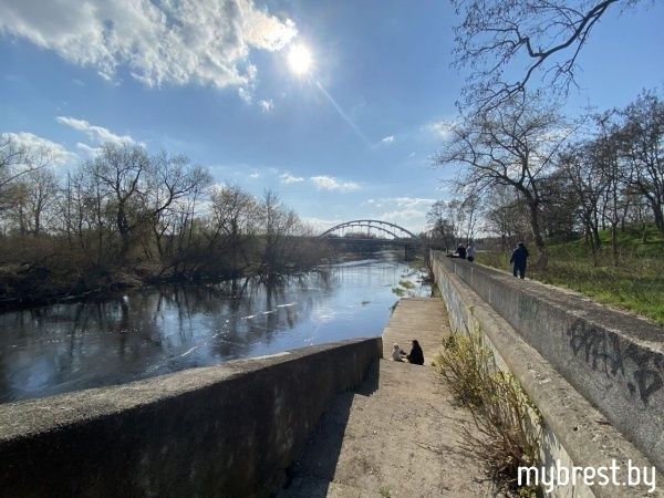В Бресте продолжат реконструкцию набережной в районе речного порта В Бресте продолжат реконструкцию набережной в районе речного порта