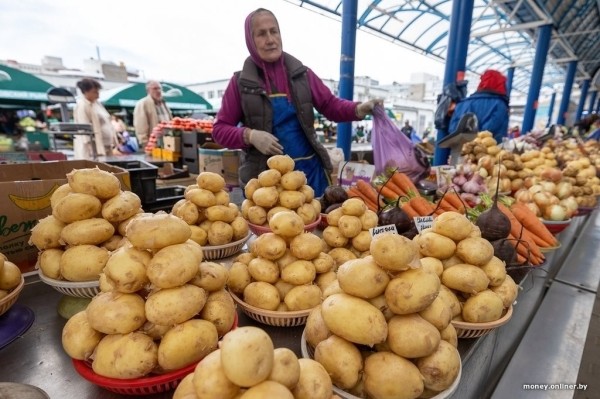Назван район Брестской области, который может обеспечить картошкой и капустой всю Беларусь Назван район Брестской области, который может обеспечить картошкой и капустой всю Беларусь