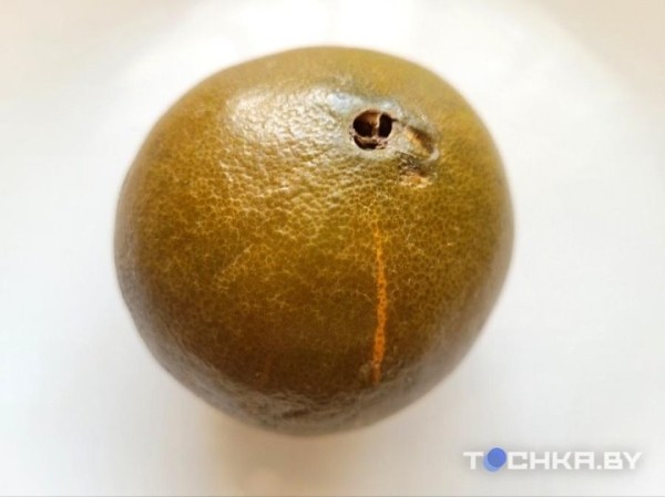 В магазинах появились шоколадные апельсины, но они не всем по карману В магазинах появились шоколадные апельсины, но они не всем по карману