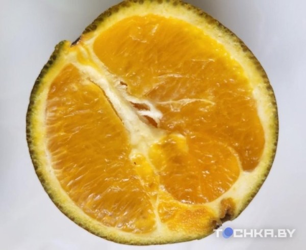 В магазинах появились шоколадные апельсины, но они не всем по карману В магазинах появились шоколадные апельсины, но они не всем по карману