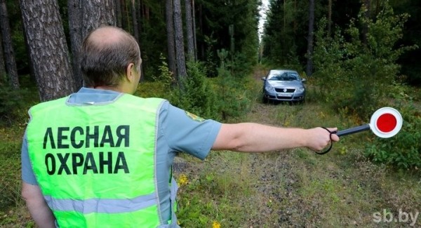 Ограничения на посещение лесов введены в Гродненской и Брестской областях Ограничения на посещение лесов введены в Гродненской и Брестской областях