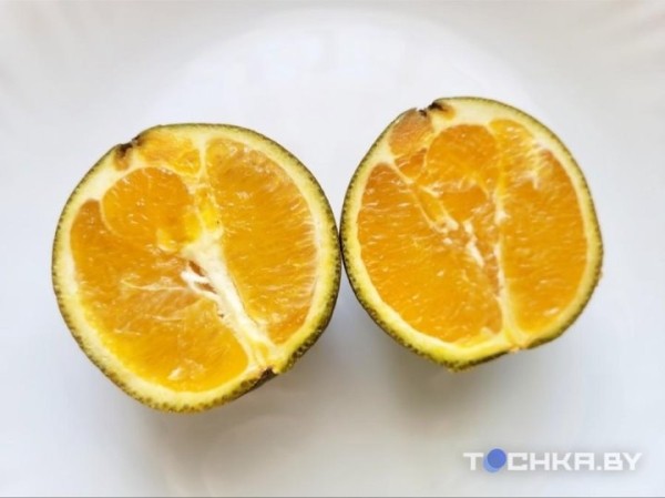 В магазинах появились шоколадные апельсины, но они не всем по карману В магазинах появились шоколадные апельсины, но они не всем по карману