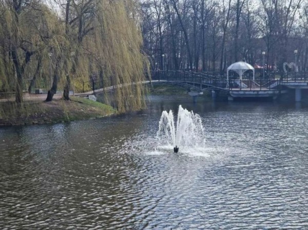 В пруду парка Бреста замечен мор рыбы. Что случилось? В пруду парка Бреста замечен мор рыбы. Что случилось?