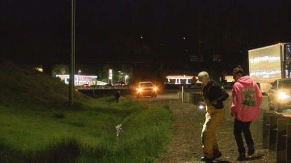 Очень странные дела. Мужчина разбросал из машины на ходу $200 тысяч Очень странные дела. Мужчина разбросал из машины на ходу $200 тысяч