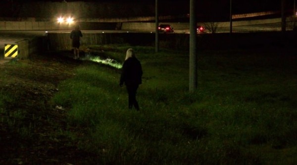 Очень странные дела. Мужчина разбросал из машины на ходу $200 тысяч Очень странные дела. Мужчина разбросал из машины на ходу $200 тысяч