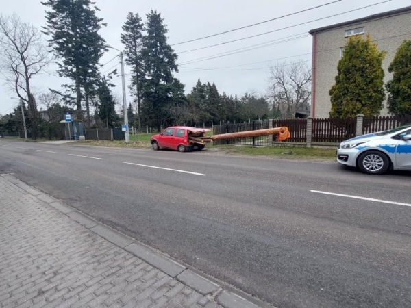 Поляки смеются над водителем Fiat, который превратил малютку в лесовоз и получает за это штрафы Поляки смеются над водителем Fiat, который превратил малютку в лесовоз и получает за это штрафы