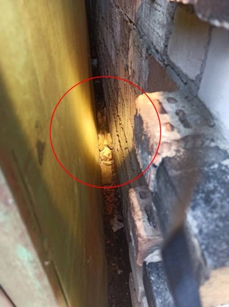 Брестские спасатели помогли четвероногому «заложнику» Брестские спасатели помогли четвероногому «заложнику»