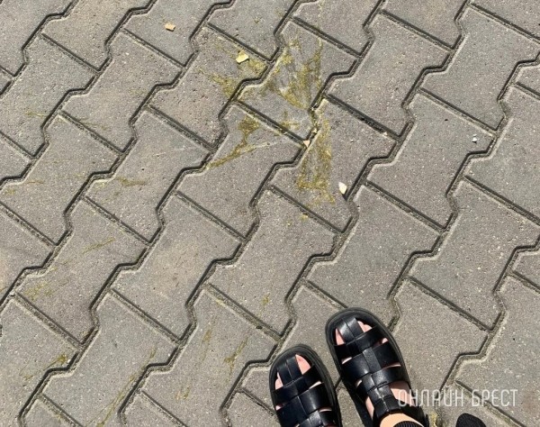 Какое наказание грозит тому, кто выбрасывает в окна все что ни попадя Какое наказание грозит тому, кто выбрасывает в окна все что ни попадя