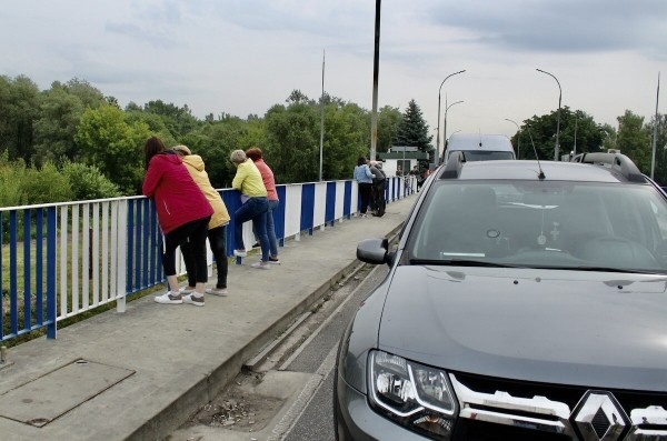 Как сегодня белорусы проходят границу на легковых авто Как сегодня белорусы проходят границу на легковых авто