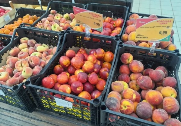 Ценник на бульбу с огурцом: в овощном магазине, на рынке и в супермаркете. Почем сезонные овощи и фрукты в Бресте? Ценник на бульбу с огурцом: в овощном магазине, на рынке и в супермаркете. Почем сезонные овощи и фрукты в Бресте?