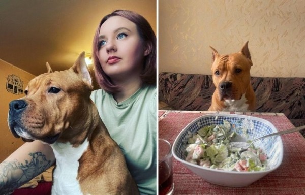 Сколько нужно денег молодой семье? Спросили у белорусов про их бюджеты после переезда от родителей Сколько нужно денег молодой семье? Спросили у белорусов про их бюджеты после переезда от родителей