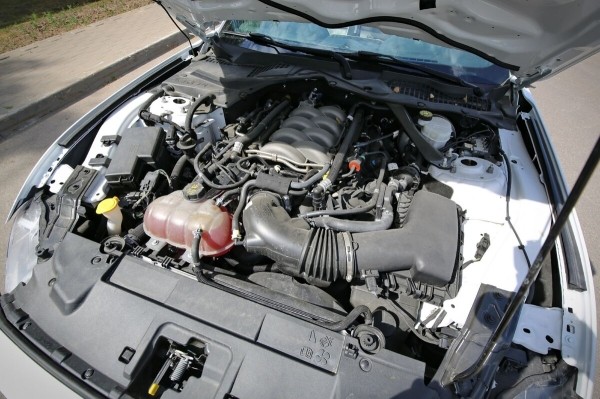 «Геометрия не пострадала, безопасность — целая». Белорус привёз из Америки 466-сильный Ford Mustang GT