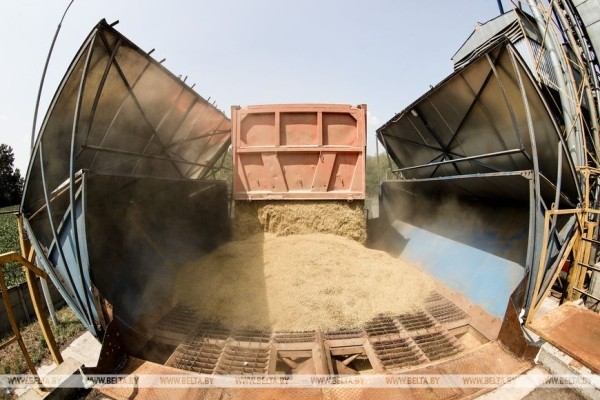 «Стараемся на деле проявлять заботу о людях», или Как в Кобринском районе начали жатву «Стараемся на деле проявлять заботу о людях», или Как в Кобринском районе начали жатву