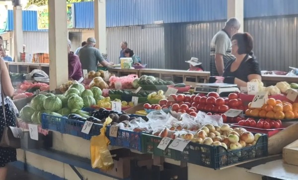 Ценник на бульбу с огурцом: в овощном магазине, на рынке и в супермаркете. Почем сезонные овощи и фрукты в Бресте? Ценник на бульбу с огурцом: в овощном магазине, на рынке и в супермаркете. Почем сезонные овощи и фрукты в Бресте?