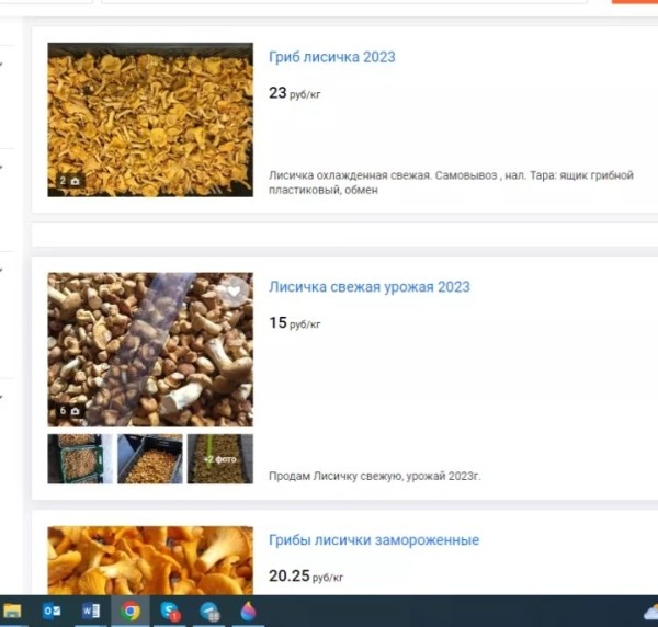 В четыре раза дороже: белорусские лисички появились в магазинах Германии В четыре раза дороже: белорусские лисички появились в магазинах Германии