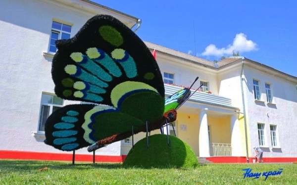 Гигантские бабочки появились в Барановичах