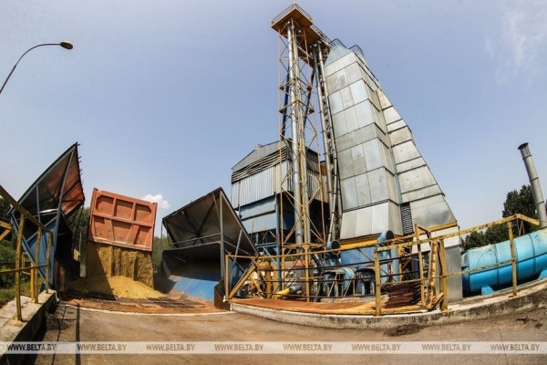 «Стараемся на деле проявлять заботу о людях», или Как в Кобринском районе начали жатву «Стараемся на деле проявлять заботу о людях», или Как в Кобринском районе начали жатву