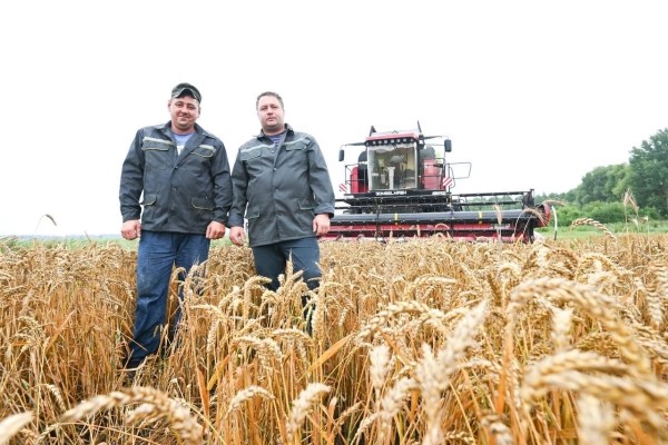 Экипаж комбайнеров из Столинского района первым в Брестской области намолотил 2 тыс. тонн зерна Экипаж комбайнеров из Столинского района первым в Брестской области намолотил 2 тыс. тонн зерна