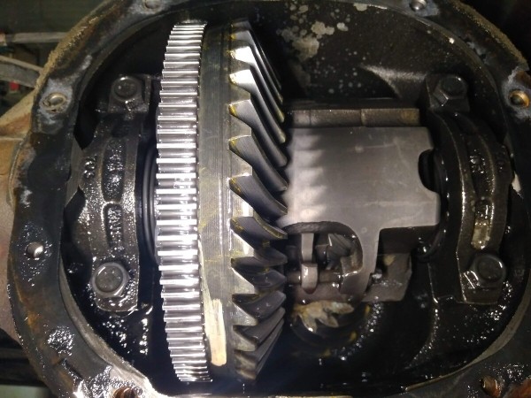 Показываем два редких Pontiac Firebird, которые есть в Беларуси Показываем два редких Pontiac Firebird, которые есть в Беларуси