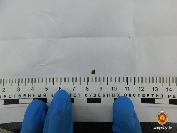 Мужчина на границе в Бресте проглотил содержимое монетницы. Что же там было? Мужчина на границе в Бресте проглотил содержимое монетницы. Что же там было?