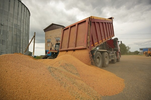 Водитель самого крутого комбайна в Беларуси: «За 1 000 рублей в поле точно бы не работал!» Водитель самого крутого комбайна в Беларуси: «За 1 000 рублей в поле точно бы не работал!»