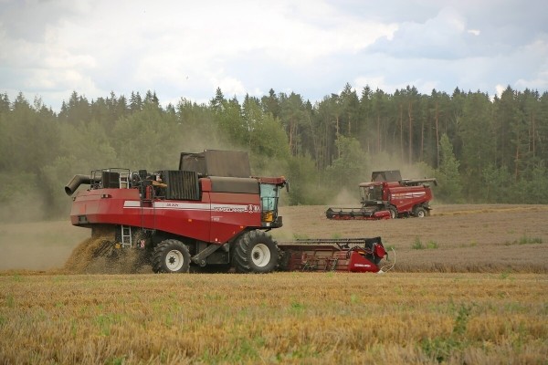 Водитель самого крутого комбайна в Беларуси: «За 1 000 рублей в поле точно бы не работал!» Водитель самого крутого комбайна в Беларуси: «За 1 000 рублей в поле точно бы не работал!»