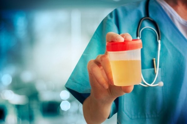 На Wildberries продают искусственную мочу «как у здорового человека» На Wildberries продают искусственную мочу «как у здорового человека»