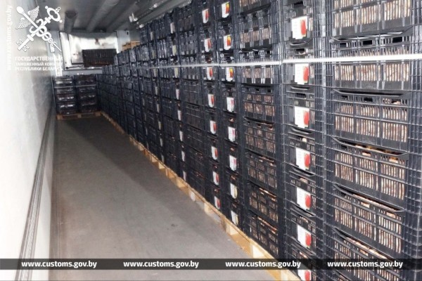 Брестские таможенники установили два факта незаконного ввоза в Беларусь луковиц тюльпанов