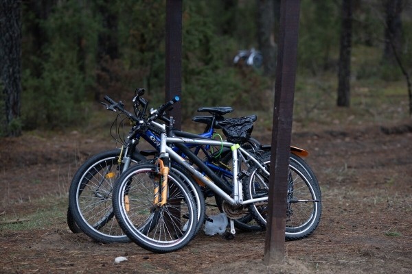 «Ругань здесь обычное дело!» Репортаж с белорусско-литовской границы, где очередь растянулась на неделю «Ругань здесь обычное дело!» Репортаж с белорусско-литовской границы, где очередь растянулась на неделю