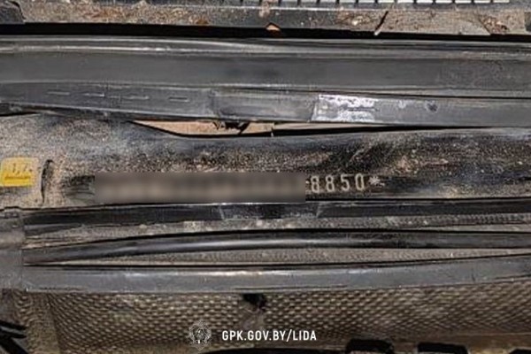 На границе остановили старый Volkswagen. Оказалось, беда с VIN-номером На границе остановили старый Volkswagen. Оказалось, беда с VIN-номером