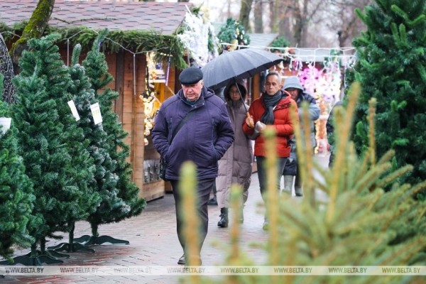В Бресте заработали елочные базары
