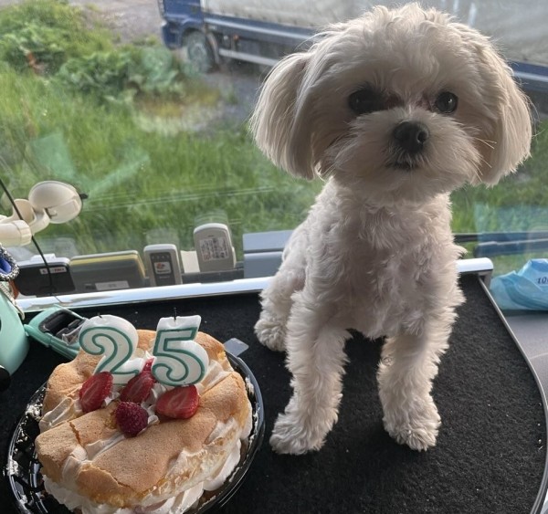 «Первое время работа вместе была адом!» Супруги пятый год живут в тесной кабине фуры и завели ещё собаку «Первое время работа вместе была адом!» Супруги пятый год живут в тесной кабине фуры и завели ещё собаку